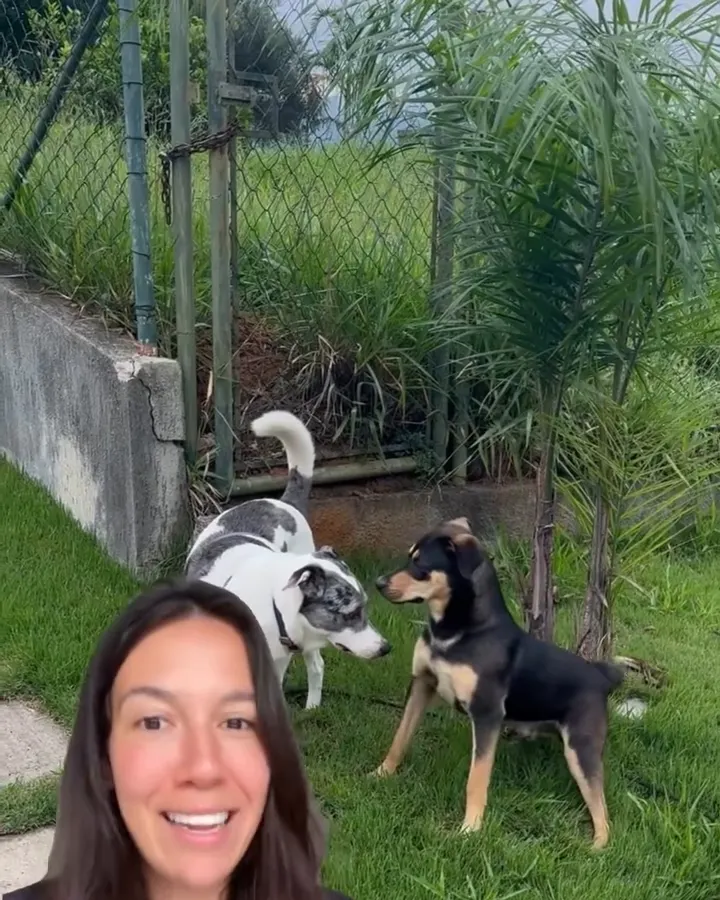 Juliana sorrindo ao lado de dois cães